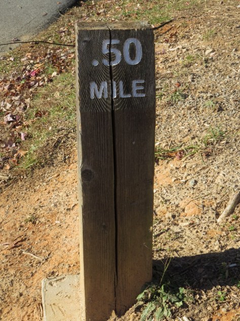 IMG_7377 (2) (960x1280)