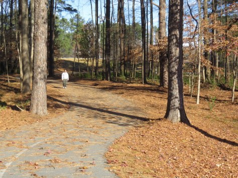 IMG_7384 (2) (1280x960)